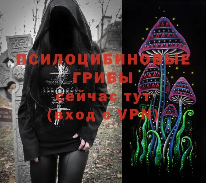 где можно купить   Нерехта  OMG ССЫЛКА  Галлюциногенные грибы Magic Shrooms 